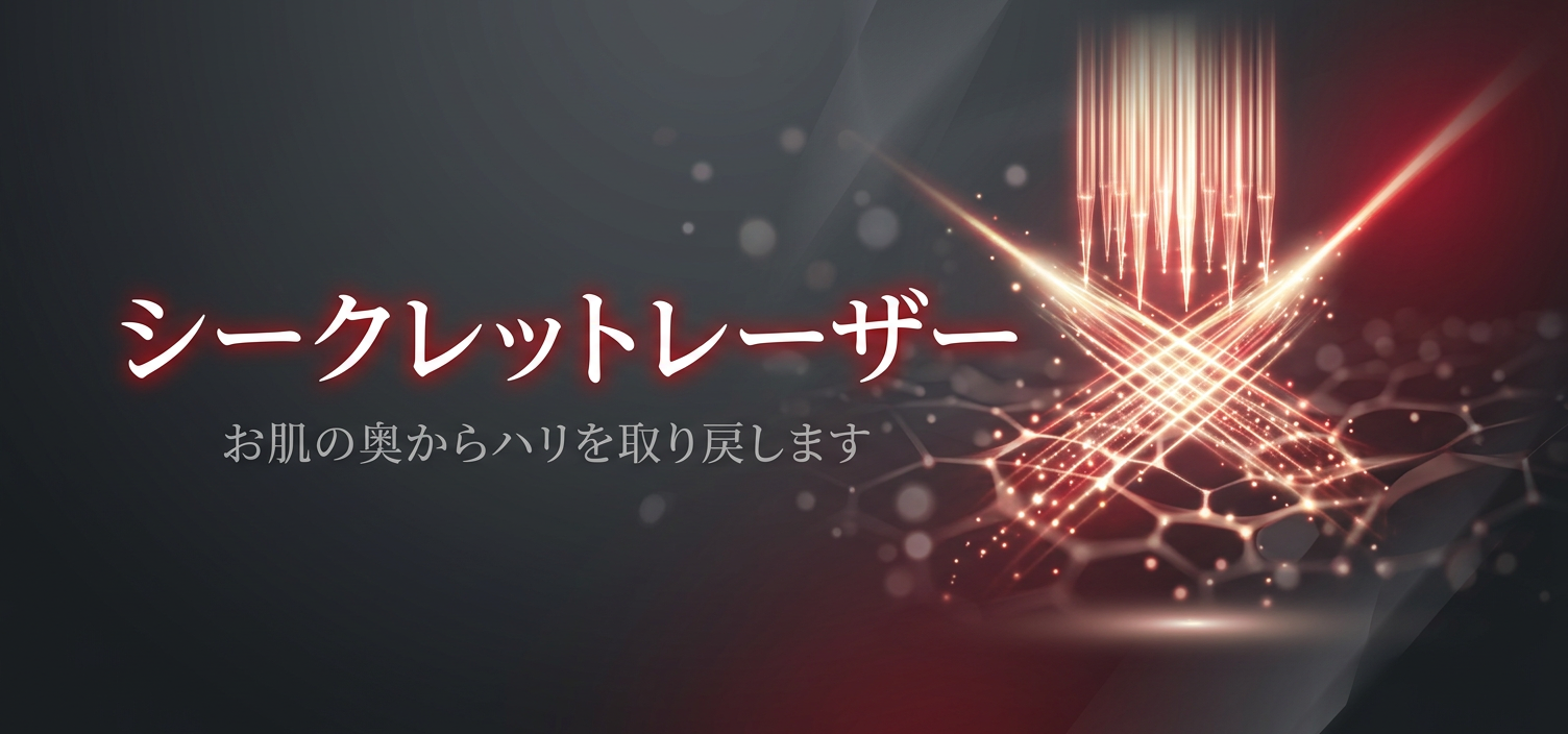 シークレットレーザー