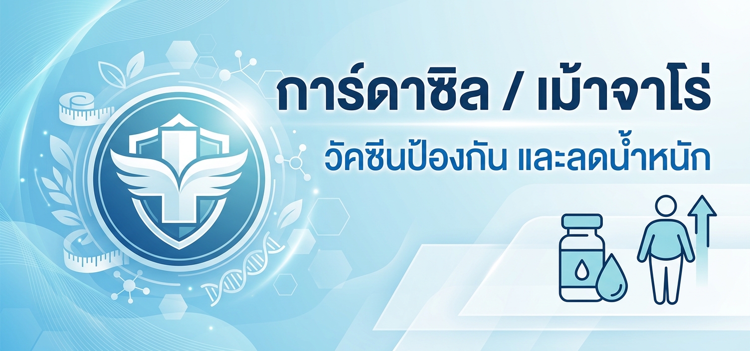 การ์ดาซิล / เม้าจาโร่