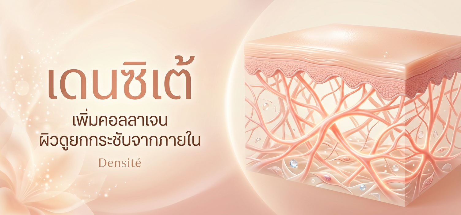 เดนซิเต้ (Densité)